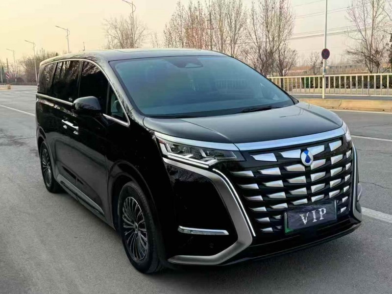 淄博24年腾势D92