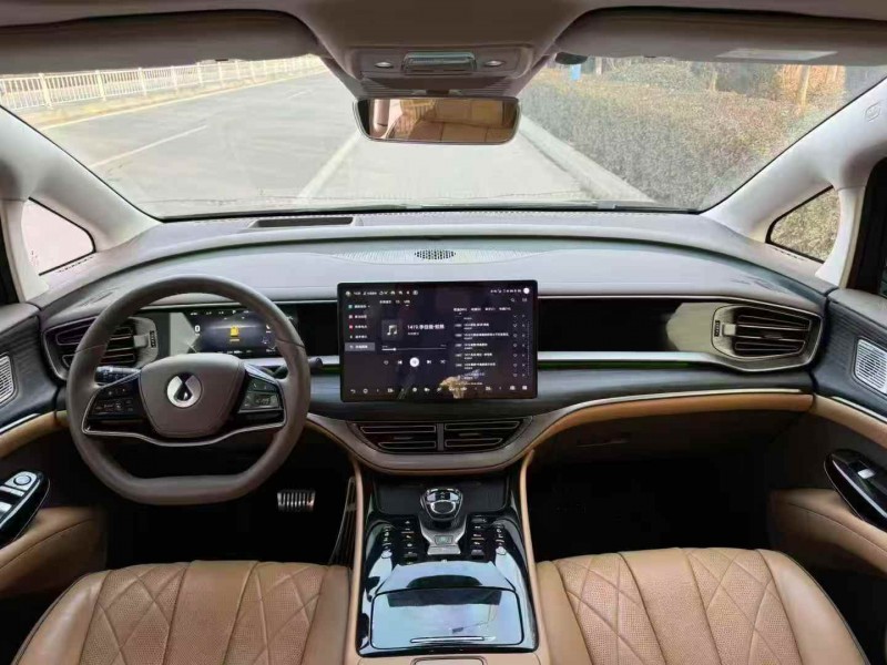 淄博24年腾势D94