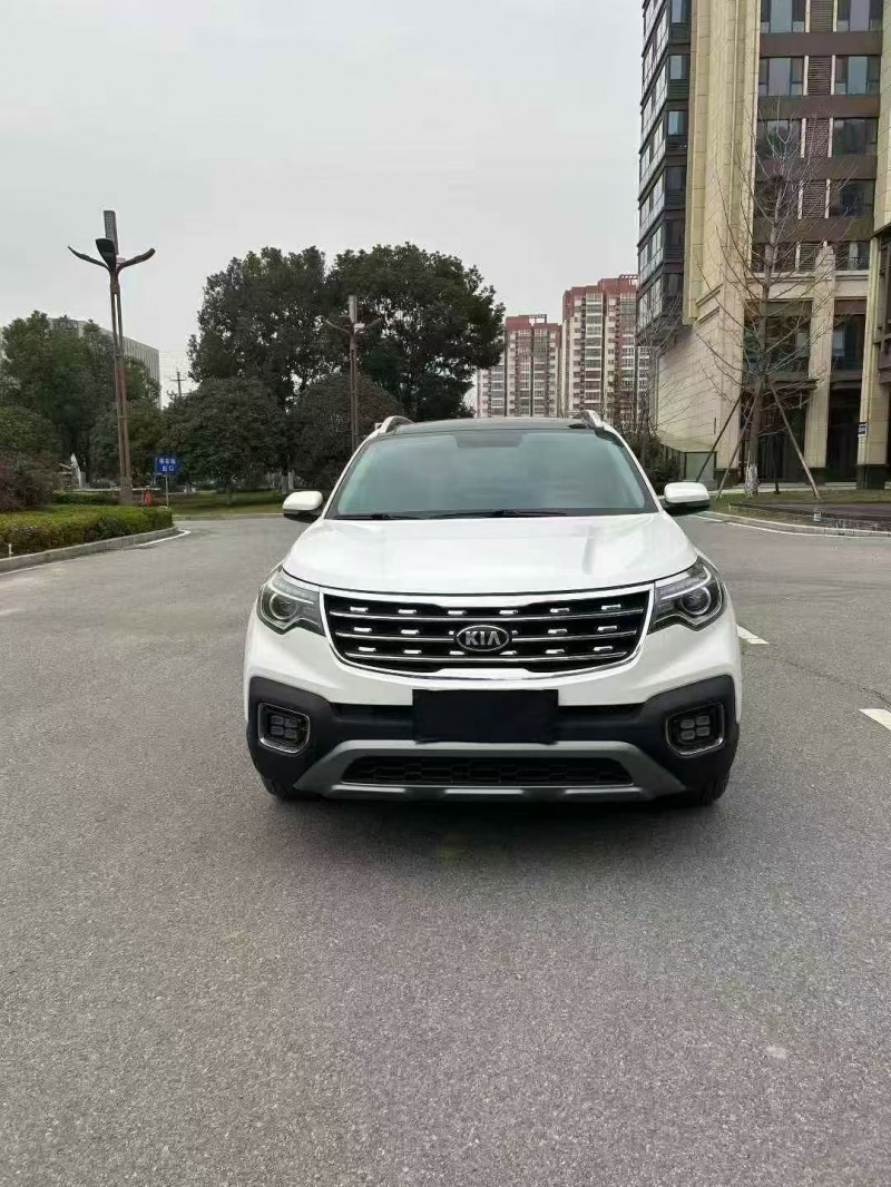 南阳20年起亚智跑1