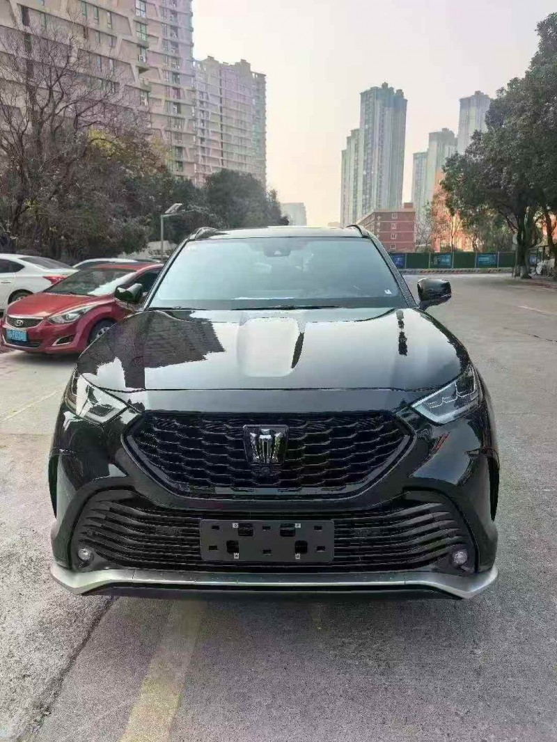 湘潭25年丰田皇冠1