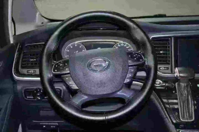 鹤壁20年传祺M8/GM84