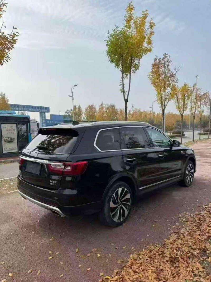 青岛20年红旗HS74