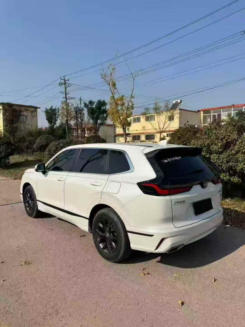 潍坊24年本田皓影6