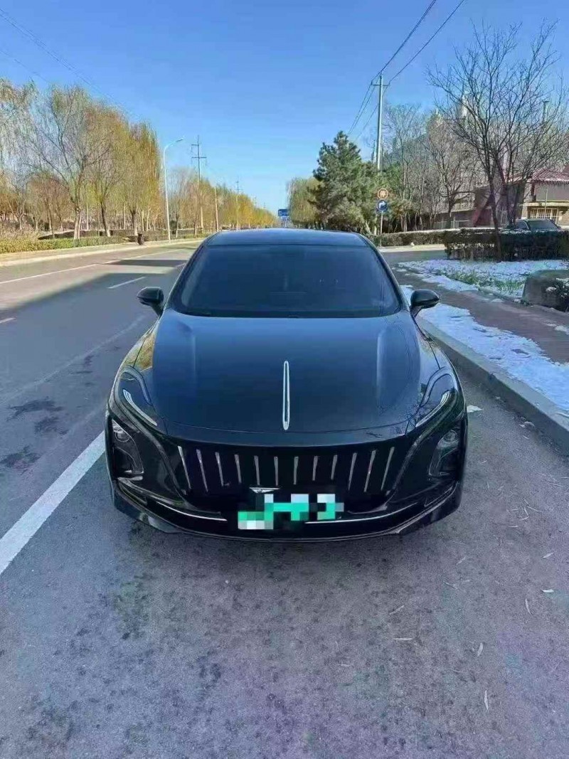 潍坊24年红旗E-QM51