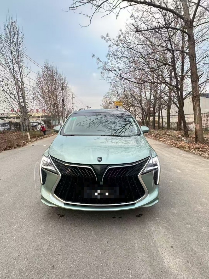 菏泽24年东风风行1