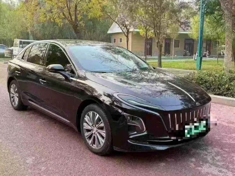 聊城25年红旗E-QM53