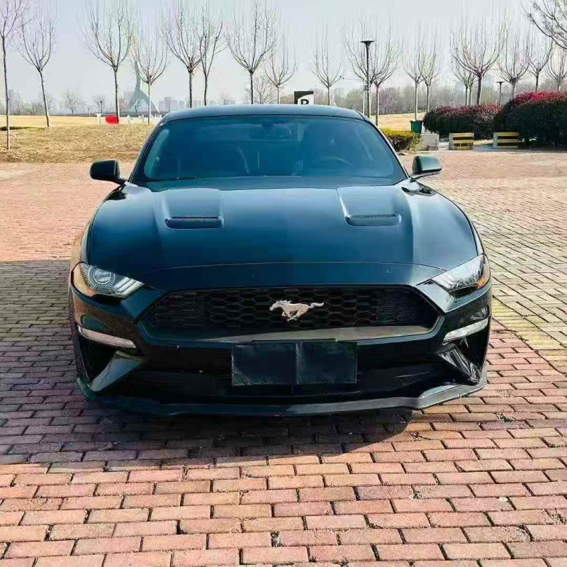 东营19年福特野马1