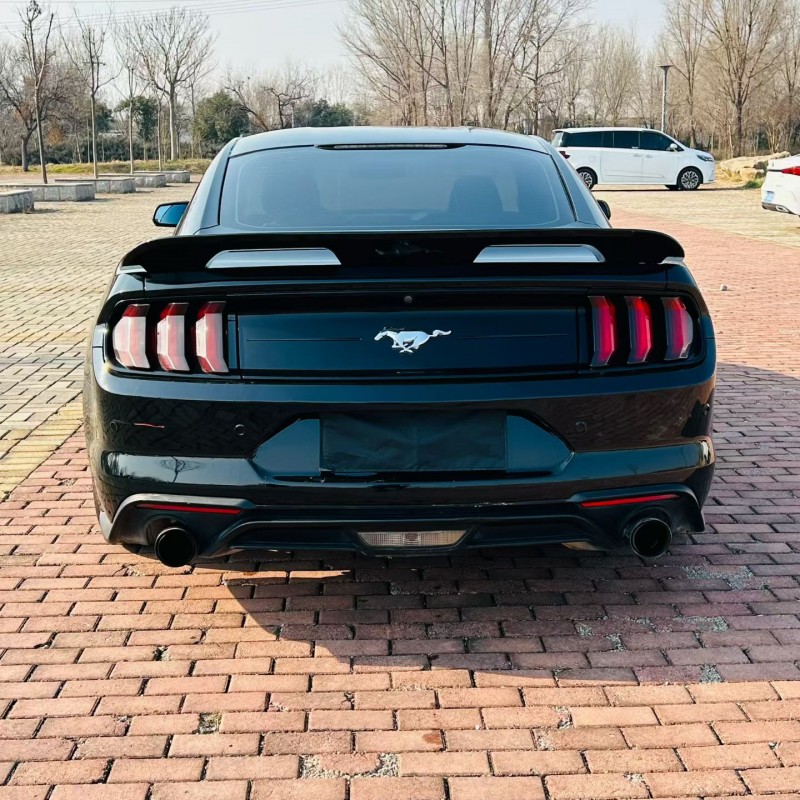 聊城19年福特野马9