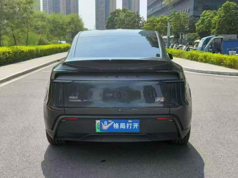 湛江25年特斯拉MODEL Y9