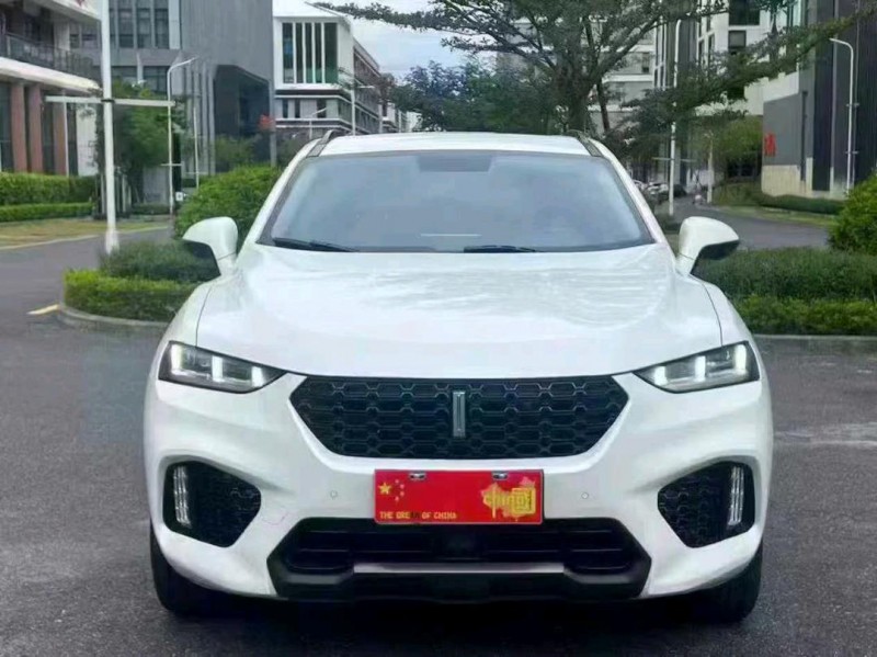 广州18年长城汽车WEY1