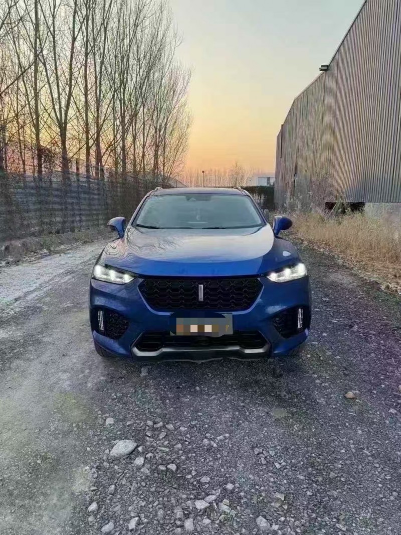 菏泽18年长城汽车魏牌1