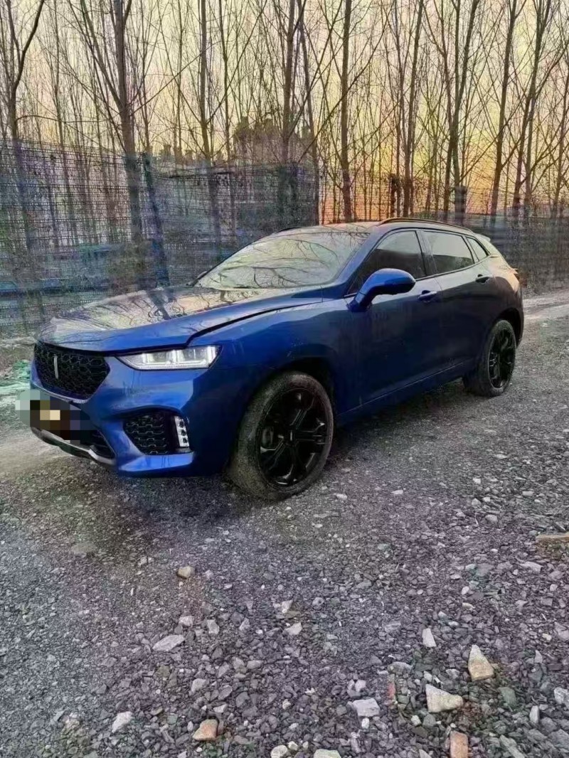 菏泽18年长城汽车魏牌2