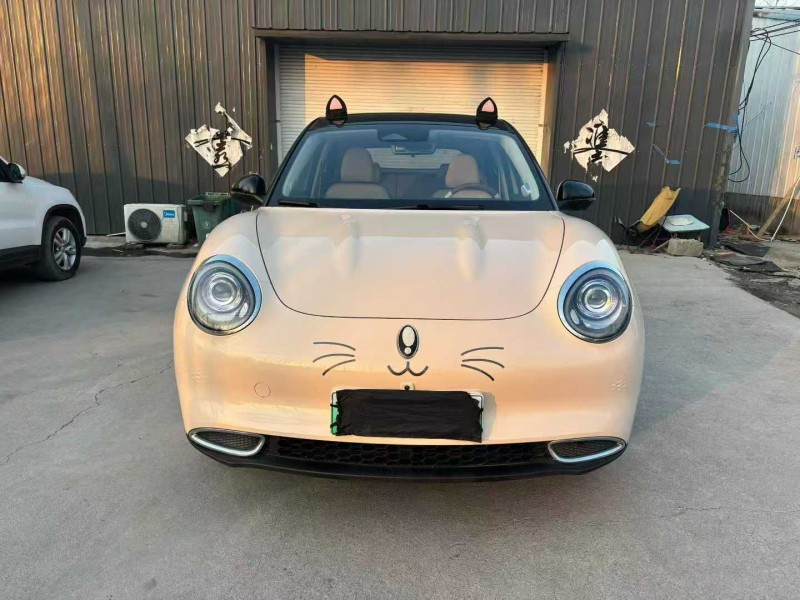 徐州23年长城汽车欧拉1