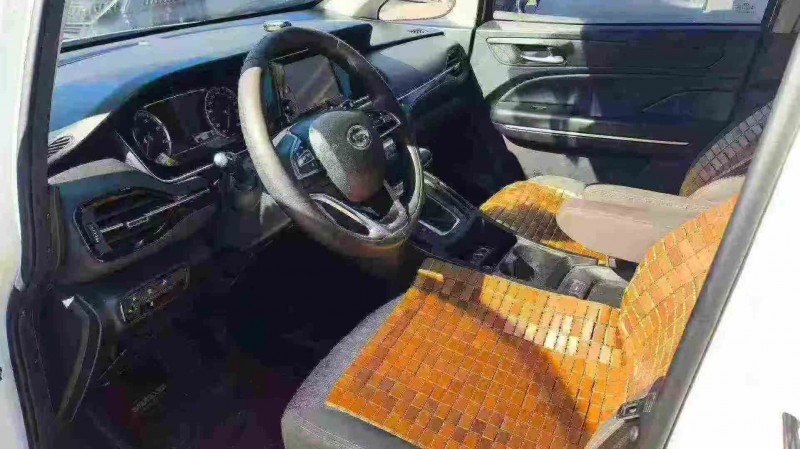 张家界21年传祺M6/GM65