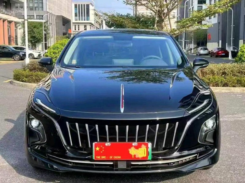 广州24年红旗E-QM51