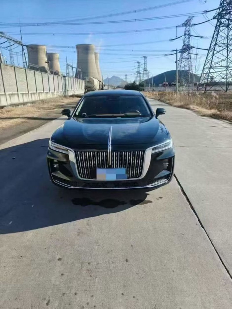 济宁22年红旗H91