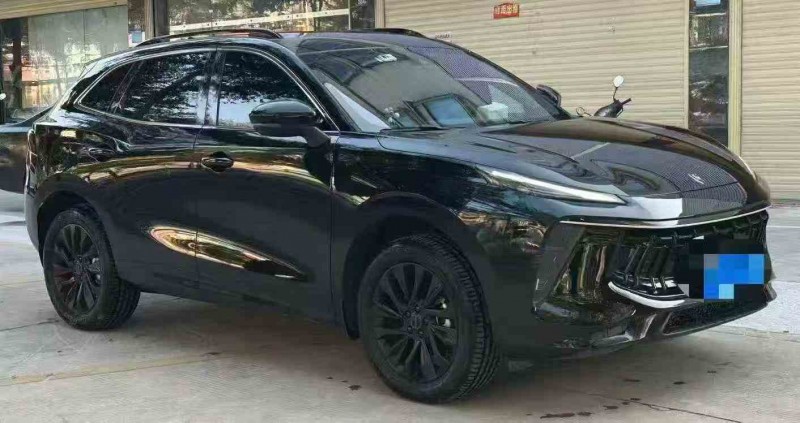 莆田23年东风风行2