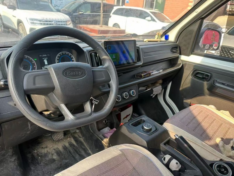 淄博24年开瑞江豚4