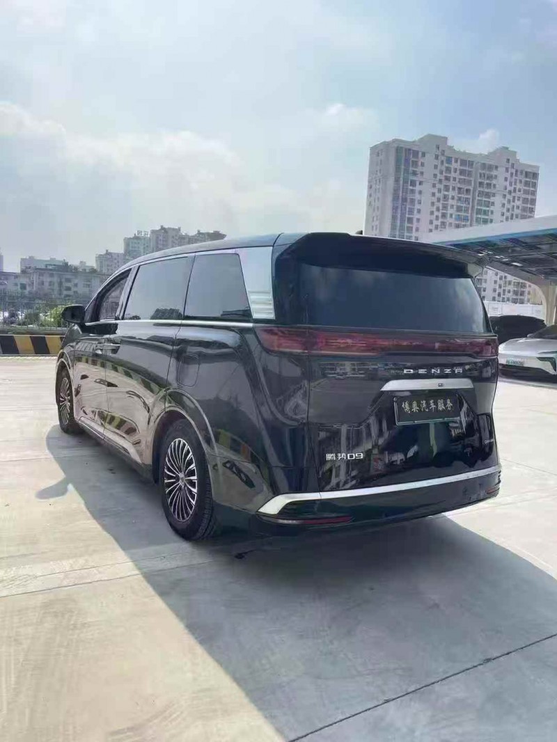 萍乡24年腾势D97