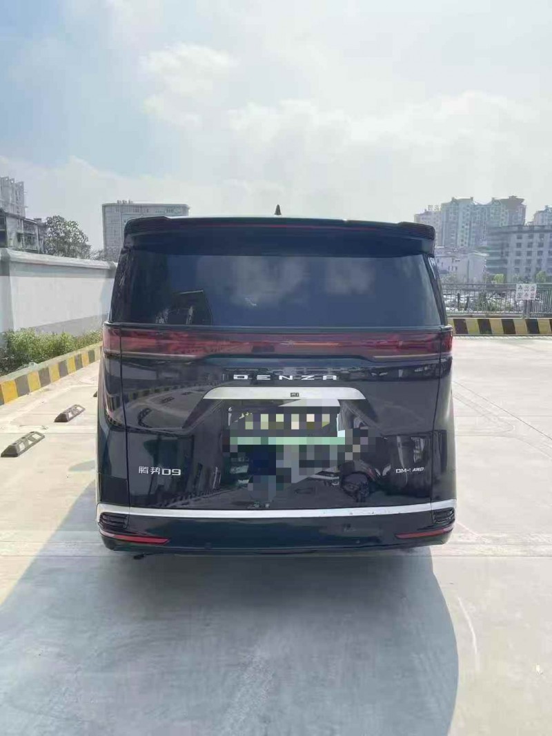 萍乡24年腾势D99