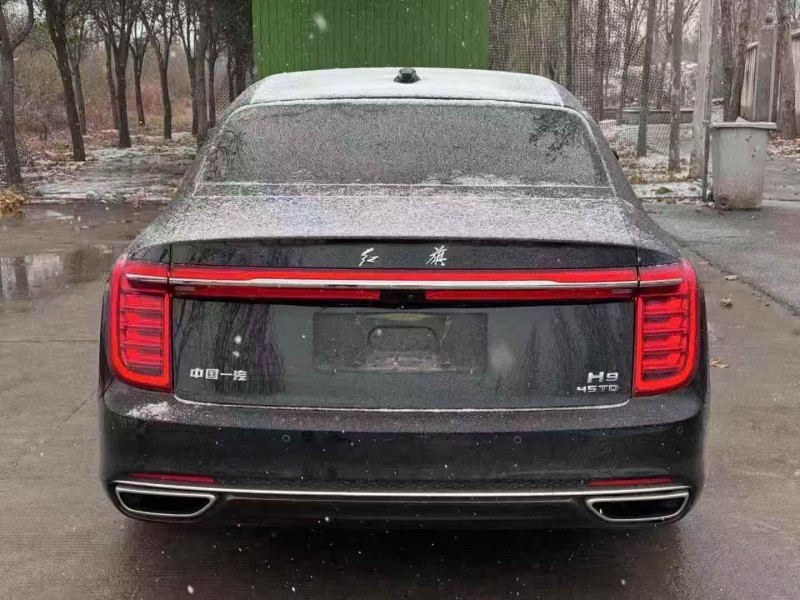 新乡22年红旗H98