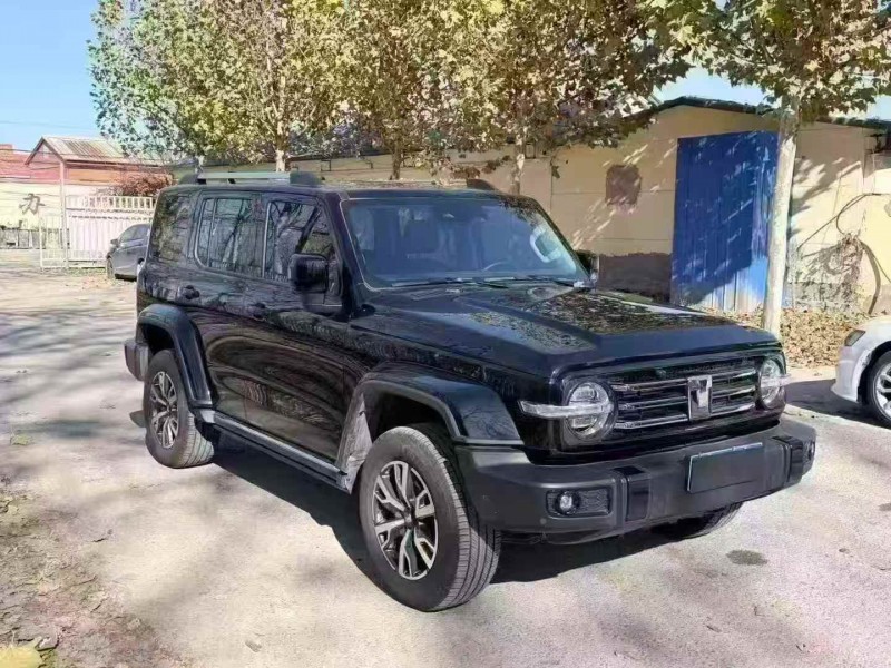 邯郸24年长城汽车坦克2