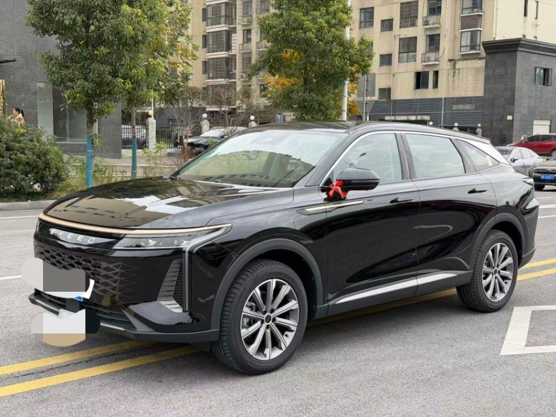 岳阳25年奇瑞星途3