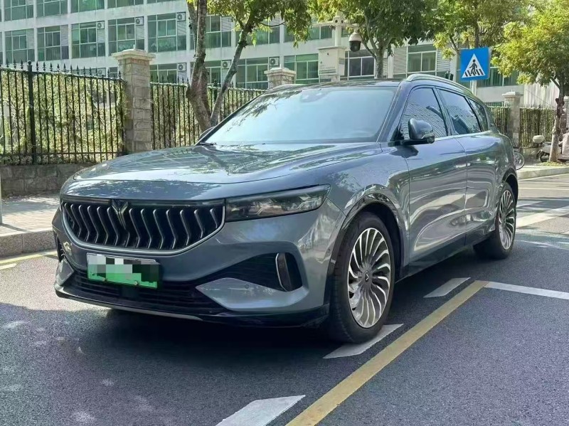 广州22年岚图汽车FREE3