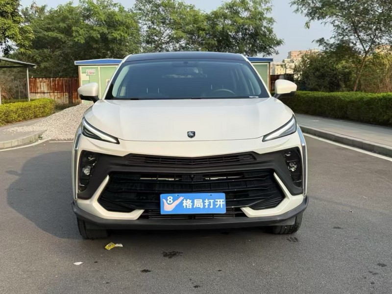 东莞25年东风风行1