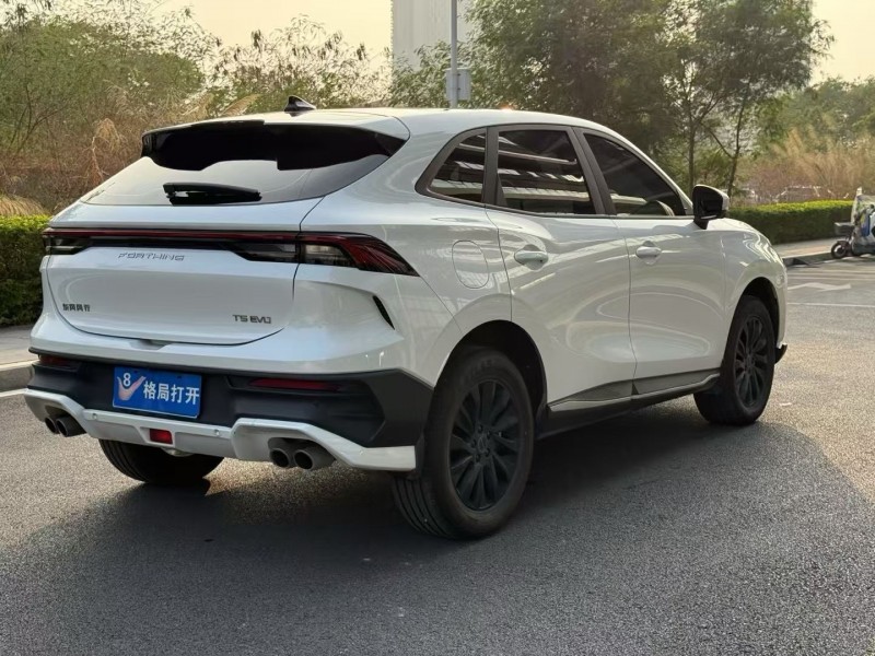 东莞25年东风风行8