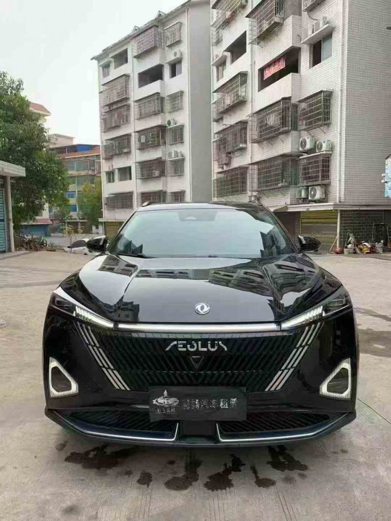 常德24年东风风神1