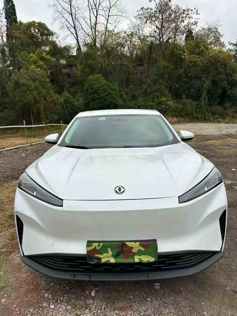 衡阳24年东风风神1