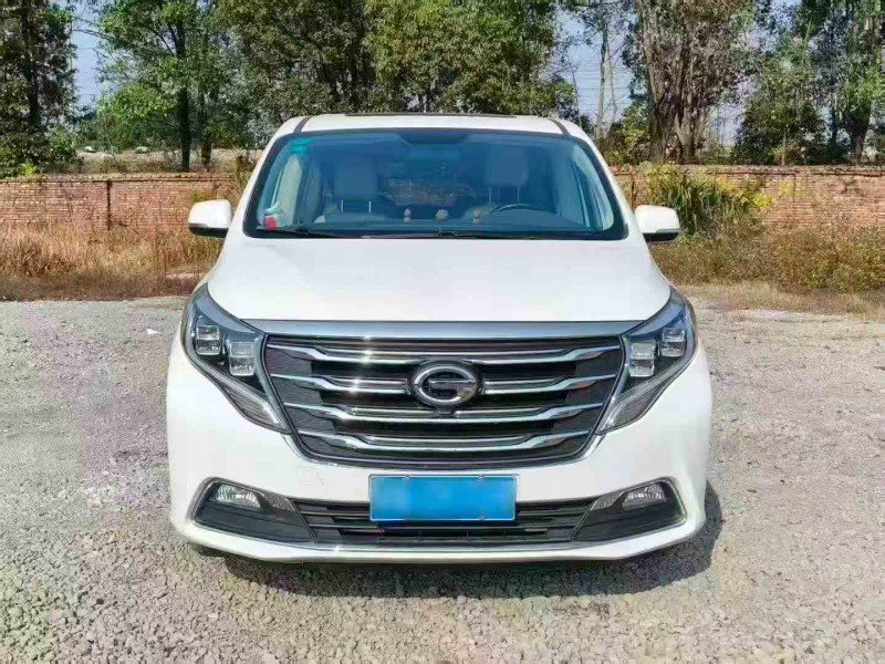 衡阳18年传祺M8/GM81