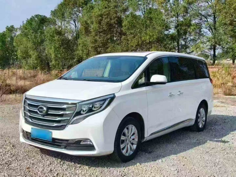 衡阳18年传祺M8/GM82