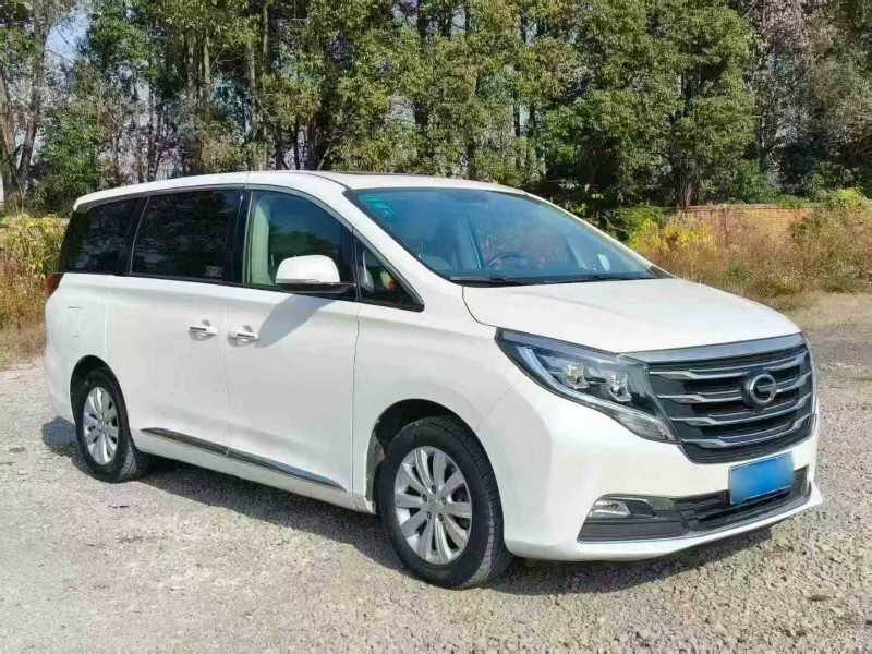 衡阳18年传祺M8/GM83