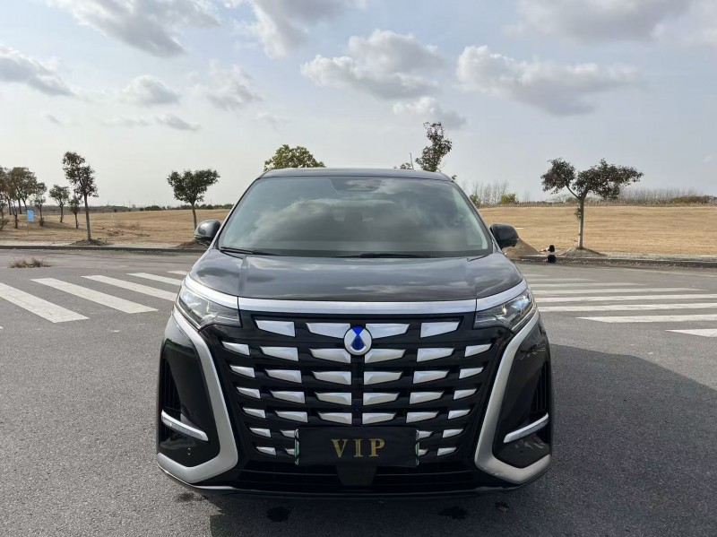 盐城24年腾势D91