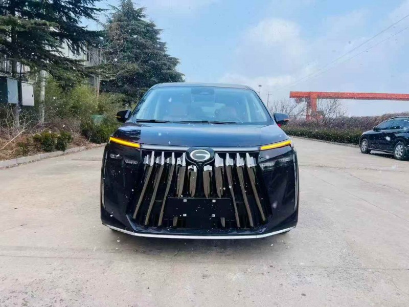 潍坊25年传祺E81