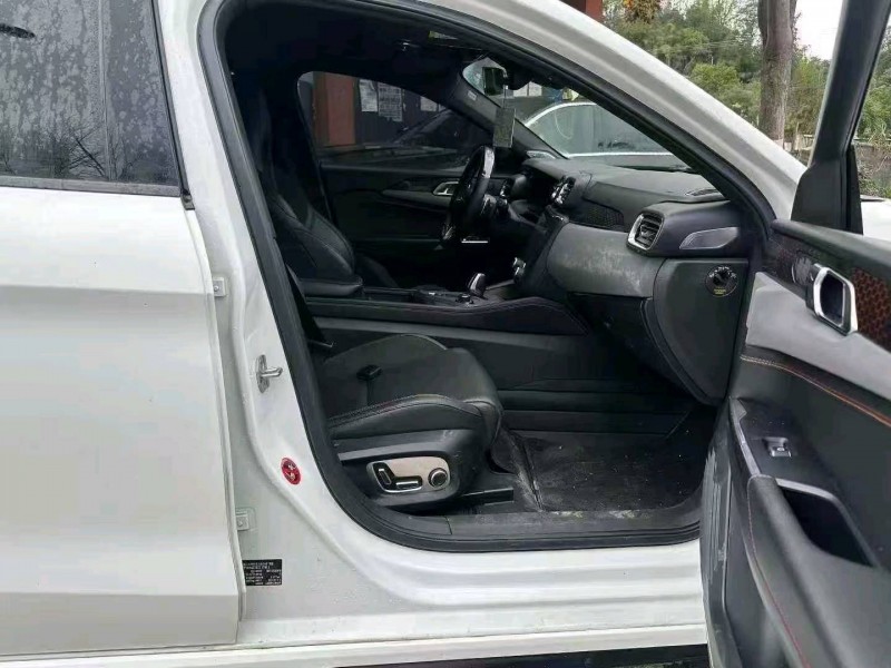 重庆20年领克034