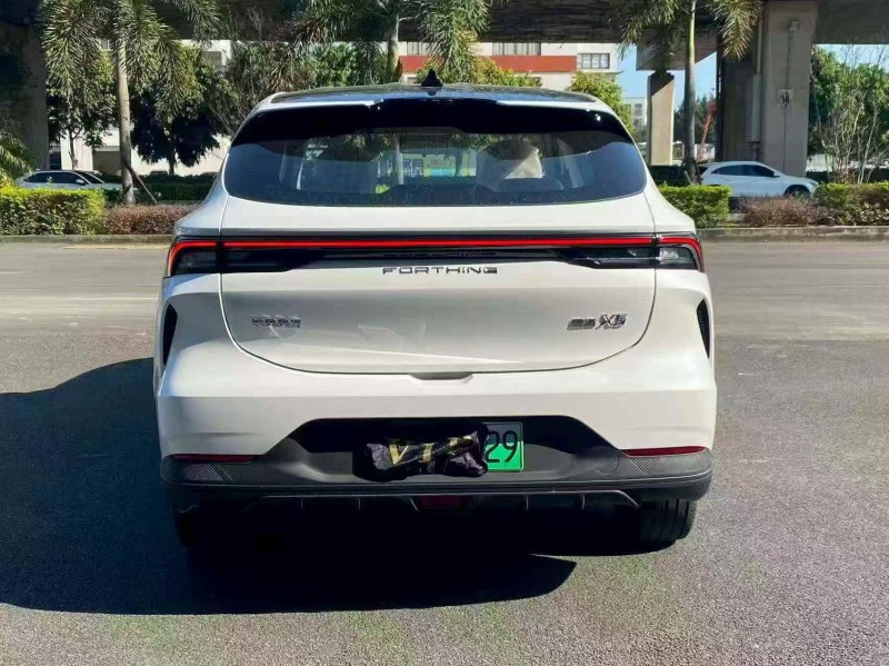 南平25年东风风行8