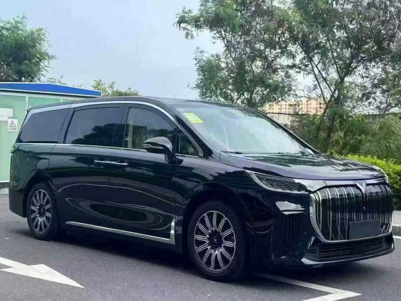 东莞25年岚图汽车梦想家2