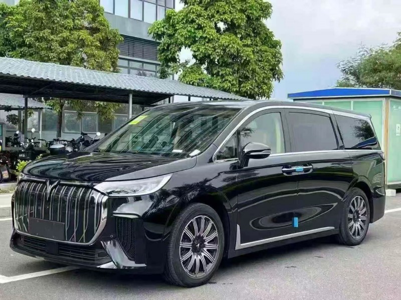 东莞25年岚图汽车梦想家3