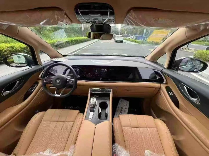 东莞25年岚图汽车梦想家5