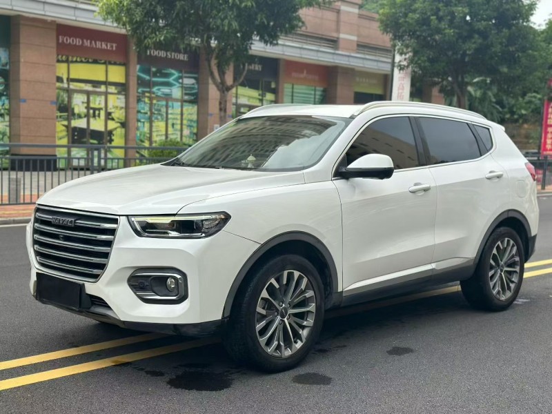 东莞20年哈弗H63