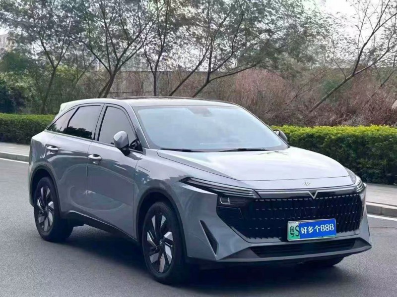 东莞24年启辰大V3