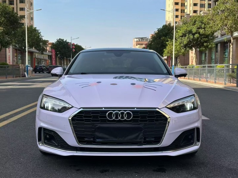 东莞21年奥迪A51