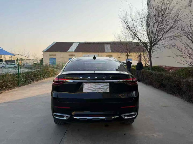 徐州20年哈弗F79