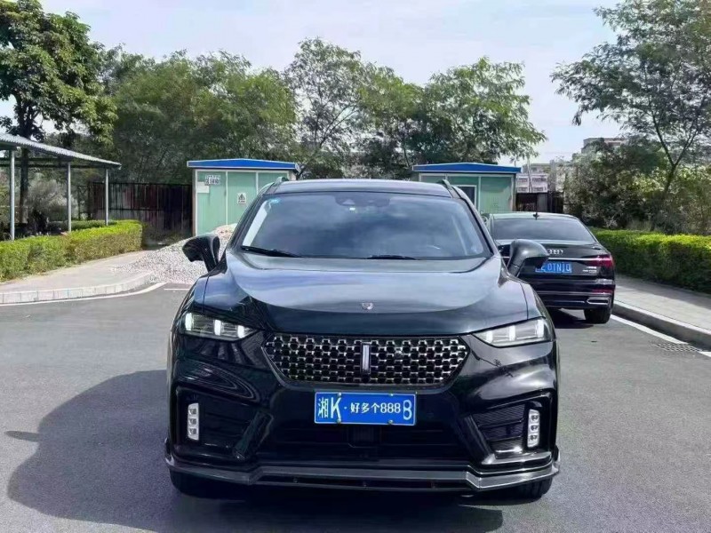 东莞20年长城汽车魏牌1