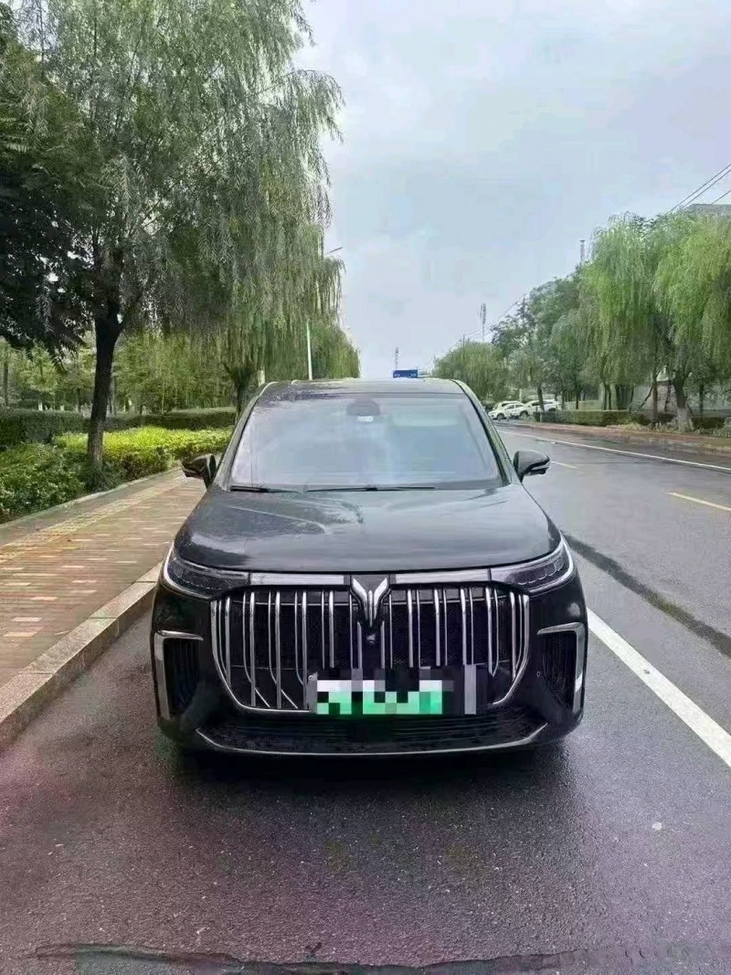 青岛24年岚图汽车梦想家1