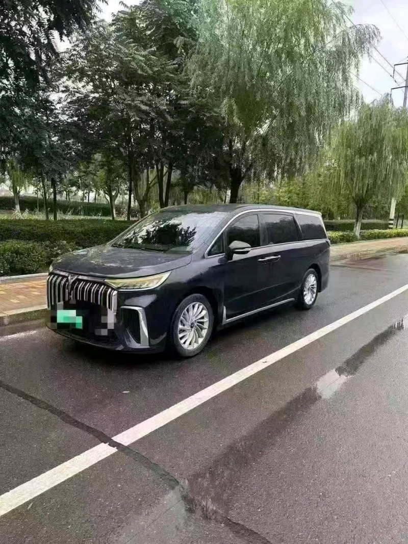 青岛24年岚图汽车梦想家3