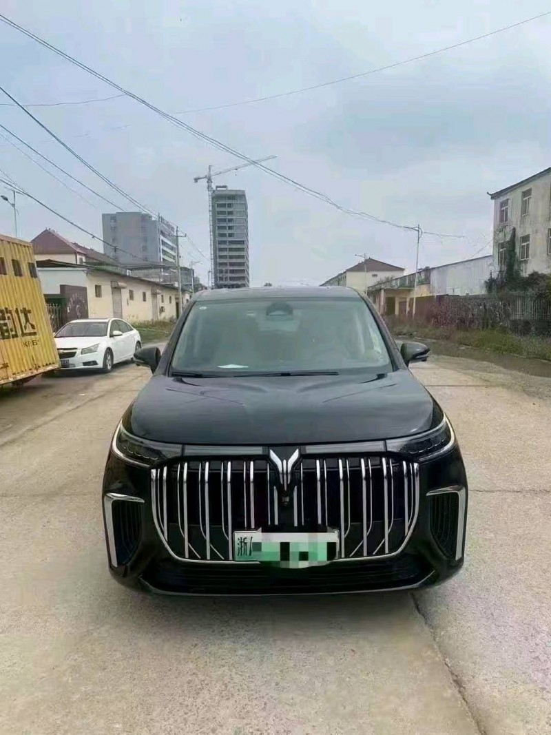 菏泽24年岚图汽车梦想家1